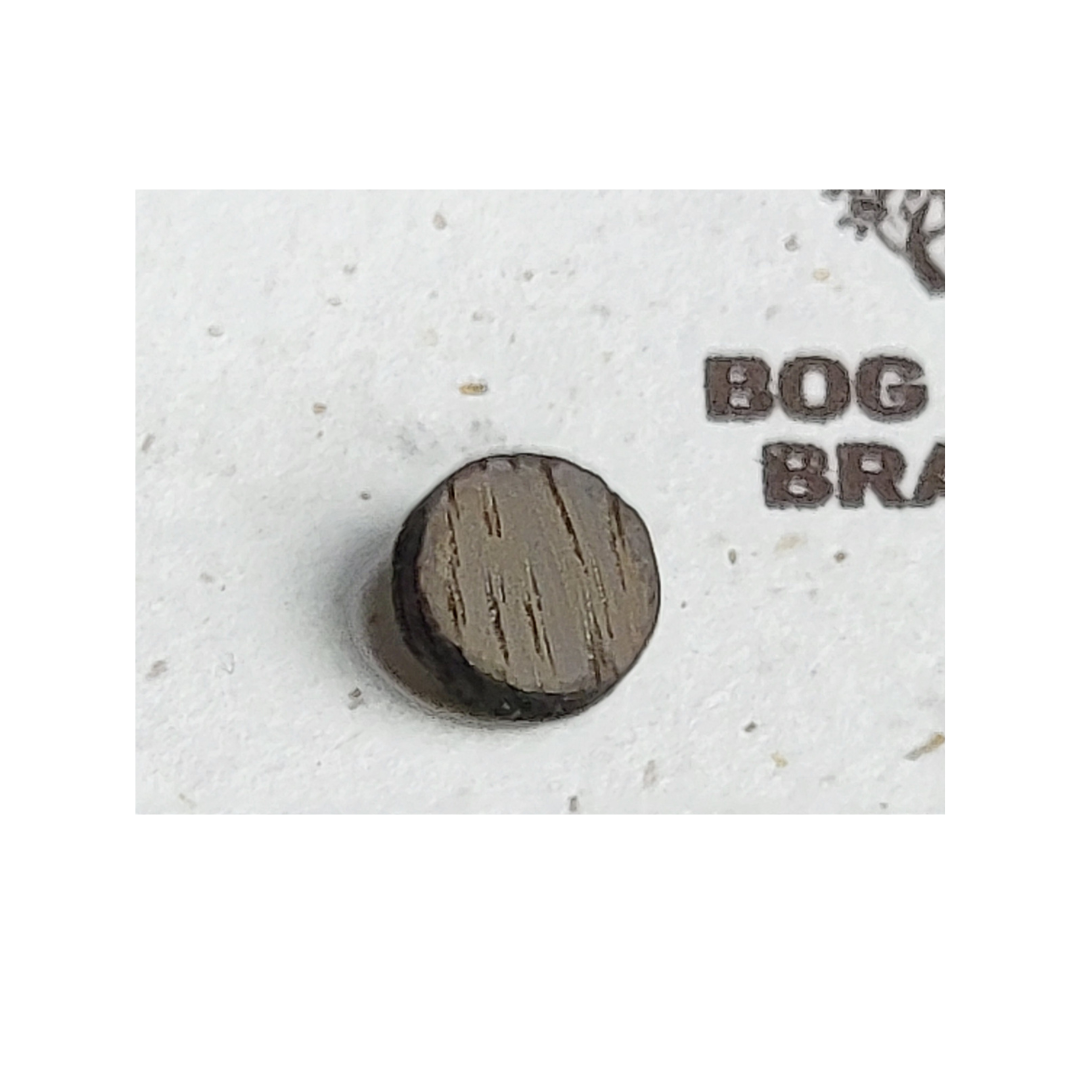 Bog Oak Stud Earrings Small